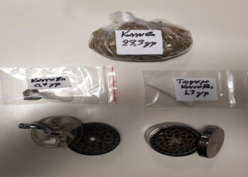 Σύλληψη δύο ατόμων για κατοχή ναρκωτικών στην Κοζάνη