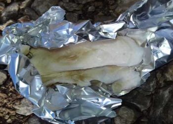 Δηλητηριασμένα δολώματα σε Εμπόριο και Μεσόβουνο – Τα μάζεψε ο Ομοσπονδιακός Θηροφύλακας