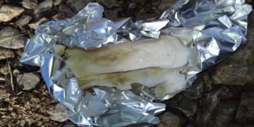 Δηλητηριασμένα δολώματα σε Εμπόριο και Μεσόβουνο – Τα μάζεψε ο Ομοσπονδιακός Θηροφύλακας