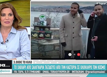 Καστοριά: Το χαβιάρι από σαλιγκάρια, που ταξιδεύει σε όλο τον κόσμο (video – OPEN TV)