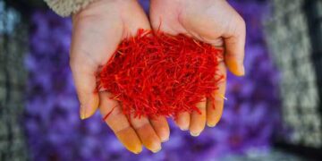 DW : Επιστήμονες αποκωδικοποίησαν το «ελληνικό» μυστικό του κρόκου