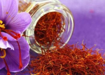 Η διεθνής νοθεία στο σαφράν προβληματίζει τους Έλληνες παραγωγούς