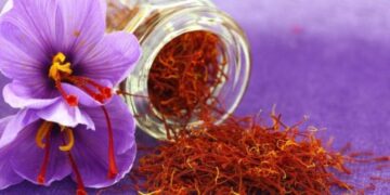 Η διεθνής νοθεία στο σαφράν προβληματίζει τους Έλληνες παραγωγούς