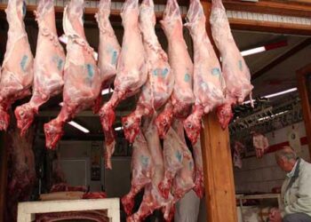 Έτοιμοι οι κρεοπώλες Κοζάνης και Πτολεμαΐδας για το Πασχαλινό τραπέζι – Που θα κυμανθούν οι τιμές στα αμνοερίφια (video)