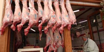 Έτοιμοι οι κρεοπώλες Κοζάνης και Πτολεμαΐδας για το Πασχαλινό τραπέζι – Που θα κυμανθούν οι τιμές στα αμνοερίφια (video)