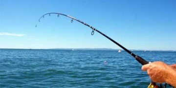 Α.Σ.Ε.Α. Κοζάνης και Πτολεμαΐδας: Τέσσερα Φεστιβάλ Αλιείας Κυπρίνου