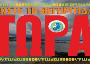 10 + 1 ερωτήσεις προς υποψηφίους Περιφερειάρχες – Δημάρχους για τη λίμνη Βεγορίτιδα