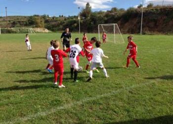 Ολοκληρώνονται σιγά-σιγά και τα «μικρά» πρωταθλήματα στην Ε.Π.Σ. Κοζάνης