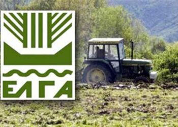 ΕΛΓΑ: Αιτήσεις χορήγησης ενίσχυσης για ζημιές από παγετό σε ελαιόδεντρα στην ΠΕ Κοζάνης