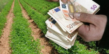 Αιτήσεις για το πρόγραμμα «Ανάπτυξη μικρών γεωργικών εκμεταλλεύσεων» του Προγράμματος Αγροτικής Ανάπτυξης (ΠΑΑ) της Ελλάδας 2014 – 2020»