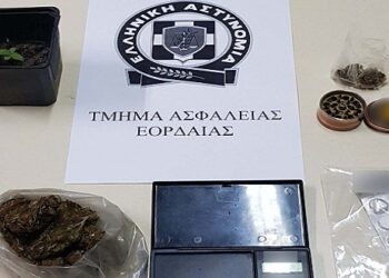 Σύλληψη 35χρονου στην Πτολεμαΐδα για καλλιέργεια, διακίνηση και κατοχή ναρκωτικών ουσιών