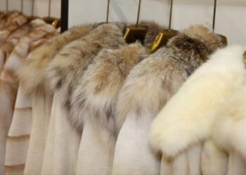 Ξεκίνησαν οι αιτήσεις συμμετοχής για το Fur Summer School 2019