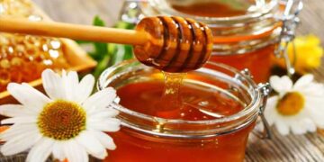 Μελισσοκομικός Σύλλογος N. Κοζάνης: H κατάθεση τιμολογίων αγοράς κυψελών ολοκληρώνεται στις 20 Μαΐου