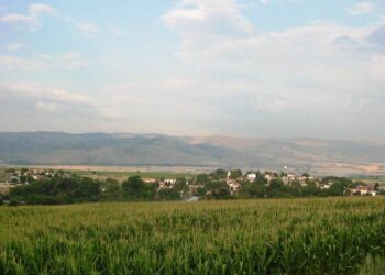 Ο Γιάννης Πασσαλίδης πρόεδρος στην Πεντάβρυσο