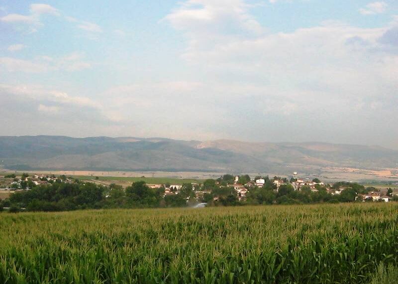 Ο Γιάννης Πασσαλίδης πρόεδρος στην Πεντάβρυσο