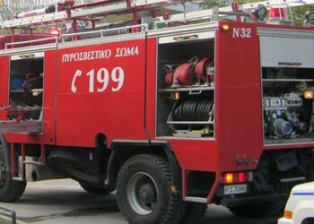 Άσκηση δασικής πυρκαγιάς «Δια Πυρός» στην Άρδασσα