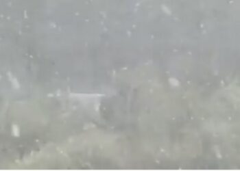 Πυκνή χιονόπτωση τώρα στο Νυμφαίο Φλώρινας! (video)