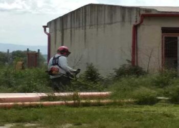 ΠΤΟΛΕΜΑΪΔΑ: Από την τσέπη πολίτη πληρώθηκε το κόψιμο των χόρτων στο κυνοκομείο – Απούσα η Δημοτική Αρχή επισημαίνουν οι εθελοντές του κυνοκομείου