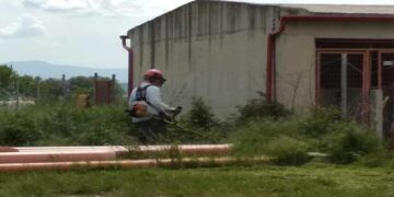 ΠΤΟΛΕΜΑΪΔΑ: Από την τσέπη πολίτη πληρώθηκε το κόψιμο των χόρτων στο κυνοκομείο – Απούσα η Δημοτική Αρχή επισημαίνουν οι εθελοντές του κυνοκομείου