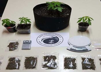 Πτολεμαΐδα: Σύλληψη δύο ατόμων για καλλιέργεια δενδρυλλίων κάνναβης και κατοχή ναρκωτικών