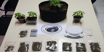 Πτολεμαΐδα: Σύλληψη δύο ατόμων για καλλιέργεια δενδρυλλίων κάνναβης και κατοχή ναρκωτικών