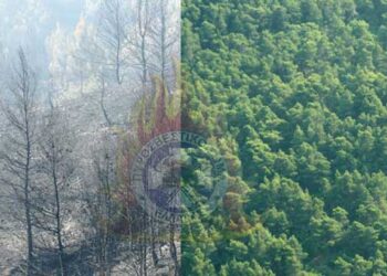 Πολύ υψηλός ο κίνδυνος εκδήλωσης πυρκαγιάς αύριο – Τι συμβουλεύει η Πυροσβεστική Υπηρεσία