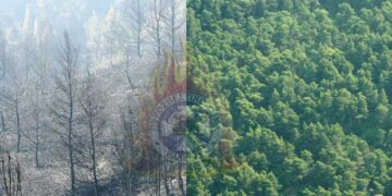 Πολύ υψηλός ο κίνδυνος εκδήλωσης πυρκαγιάς αύριο – Τι συμβουλεύει η Πυροσβεστική Υπηρεσία