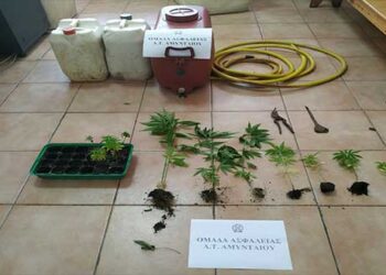 Φλώρινα: Καλλιέργεια 16 δενδρυλλίων κάνναβης  – Σύλληψη 48χρονου