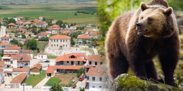 Δύο κατσίκια η λεία αρκούδας σε κτηνοτροφική μονάδα στην Άρδασσα! – Να παρθούν μέτρα ζητάει ο κτηνοτρόφος