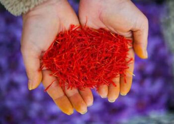 Την υπογραφή των υπουργών Ελλάδας και Κίνας περιμένει ο κρόκος για να ξεκινήσει εξαγωγές στην κινέζικη αγορά