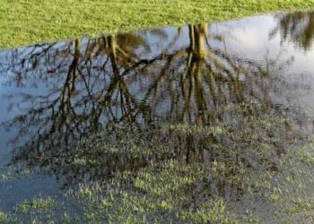 Άργος Ορεστικό: Καρκινογόνος ουσία κρύβεται στο υπέδαφος – Δημοσίευμα του “ΕΘΝΟΥΣ”