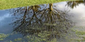 Άργος Ορεστικό: Καρκινογόνος ουσία κρύβεται στο υπέδαφος – Δημοσίευμα του “ΕΘΝΟΥΣ”