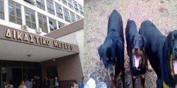 ΚΟΖΑΝΗ: Αναβλήθηκε το δικαστήριο για τον θάνατο του 5χρονου Στάθη που σκότωσαν τα ροτβάιλερ