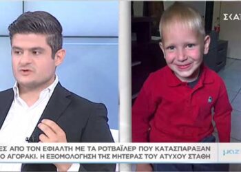 Η εξομολόγηση της μητέρας του 5χρονου Στάθη που βρήκε τραγικό θάνατο από τα ροτβάιλερ, στην εκπομπή της Τατιάνας Στεφανίδου – VIDEO