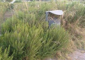 Κοπή χόρτων, καθαρισμός οικοπέδων και μνημάτων σε όλο το Ν. Κοζάνης – Τηλέφωνο Επικοινωνίας