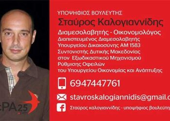 Δήλωση υποψηφιότητας Σταύρου Καλογιαννίδη υποψήφιου βουλευτή Ν.  Κοζάνης ΜΕΡΑ25
