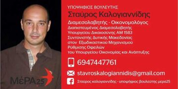 Δήλωση υποψηφιότητας Σταύρου Καλογιαννίδη υποψήφιου βουλευτή Ν.  Κοζάνης ΜΕΡΑ25