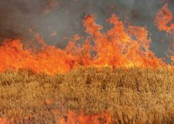 Καύση αγροτικών εκτάσεων – υπολειμμάτων καλλιεργειών (καλαμιάς)- Ενημέρωση από τη Διεύθυνση Αγροτικής Οικονομίας και Κτηνιατρικής Π.Ε. Κοζάνης