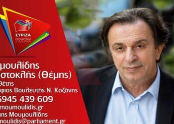 Θέμης Μουμουλίδης: «Το μεγαλύτερο δίλημμα που υπάρχει είναι το ζήτημα της συμμετοχής, γιατί μόνο η συμμετοχή είναι απάντηση στο νεοφιλελεύθερο πρόγραμμα της παραδοσιακά συντηρητικής ΝΔ»