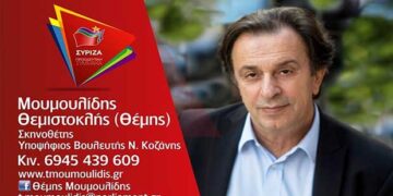 Θέμης Μουμουλίδης: «Το μεγαλύτερο δίλημμα που υπάρχει είναι το ζήτημα της συμμετοχής, γιατί μόνο η συμμετοχή είναι απάντηση στο νεοφιλελεύθερο πρόγραμμα της παραδοσιακά συντηρητικής ΝΔ»
