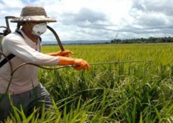 Ενημέρωση για τη χρήση γεωργικών φαρμάκων εντός οικισμών και λοιπών ειδικών περιοχών