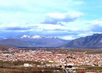 Πτώση δέντρου στο κεντρικό αντλιοστάσιο του Δήμου Άργους – Ορεστικού