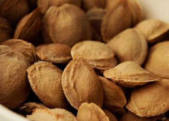 «Μπορώ να σας ζητήσω μια εξυπηρέτηση;» Η ανάρτηση από την Πτολεμαΐδα για τα κουκούτσια που έγινε viral