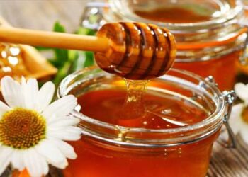 Tαχύρρυθμες εκπαιδεύσεις μελισσοκόμων έτους 2019