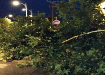 Δ. Μακεδονία: Σε 30 περιστατικά χρειάστηκε να επέμβει η Πυροσβεστική μετά τη χθεσινή κακοκαιρία