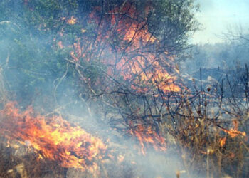 Δήμος Κοζάνης: Προληπτικά μέτρα για τις δασικές πυρκαγιές