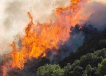 Ανακοίνωση Δήμου Κοζάνης για την προλήψη των δασικών πυρκαγιών