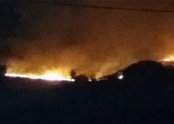 Βαρικό Αμυνταίου: Κάηκαν 200 στρέμματα δάσους και 150 στρέμματα χορτολιβαδικής έκτασης