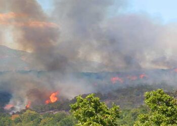 150 στρ καμένης γης άφησε πίσω της η φωτιά σε Λαζαράδες – Ελάτη Σερβίων
