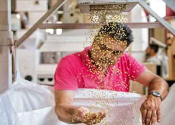 Στον Καναδά τρώνε φακές Κοζάνης – Αφιέρωμα του “Γαστρονόμου” στα «Προϊόντα Γης Βοΐου»